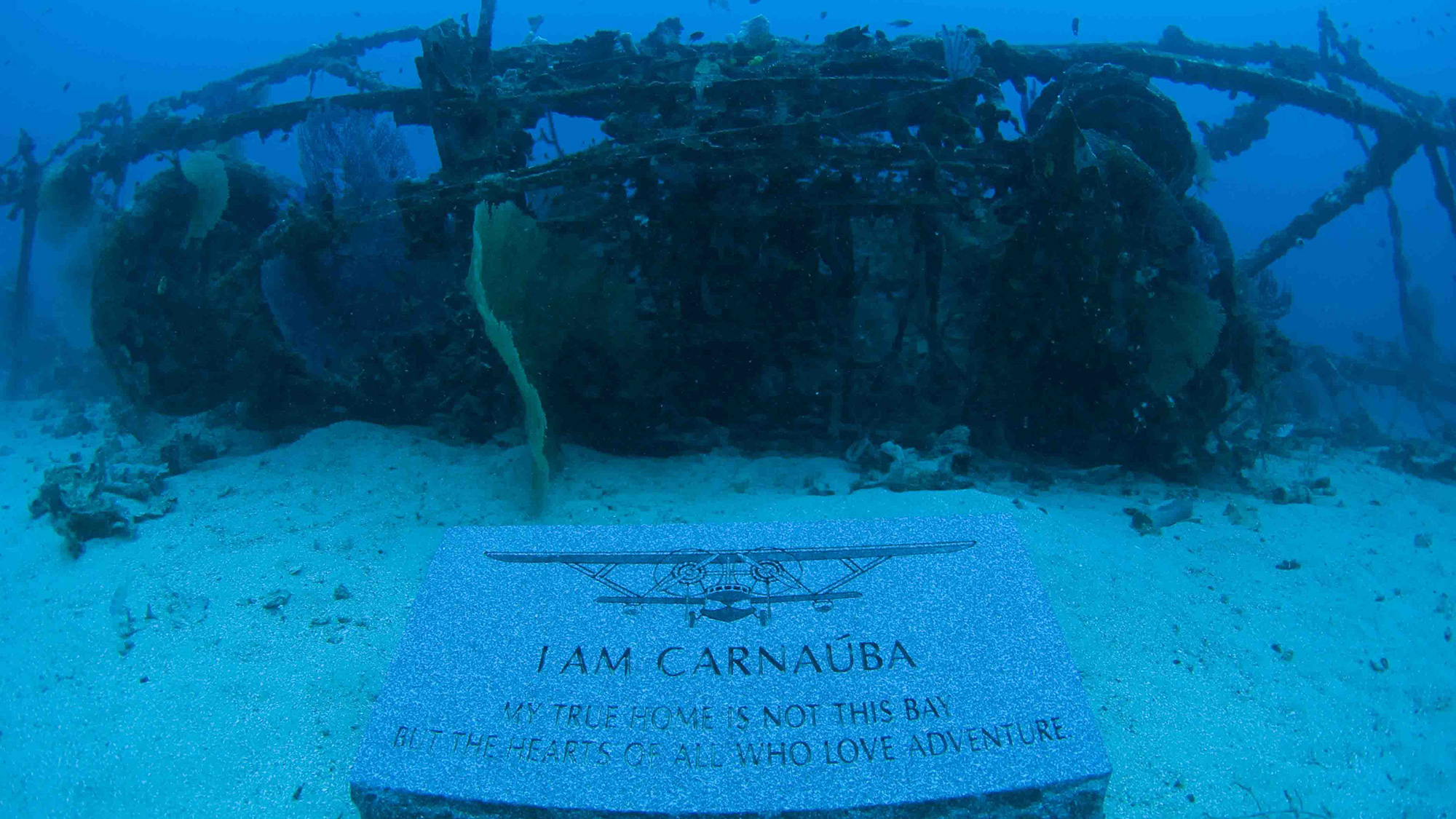 Plaque laid in front of Johnson family’s sunken Sikorsky S-38